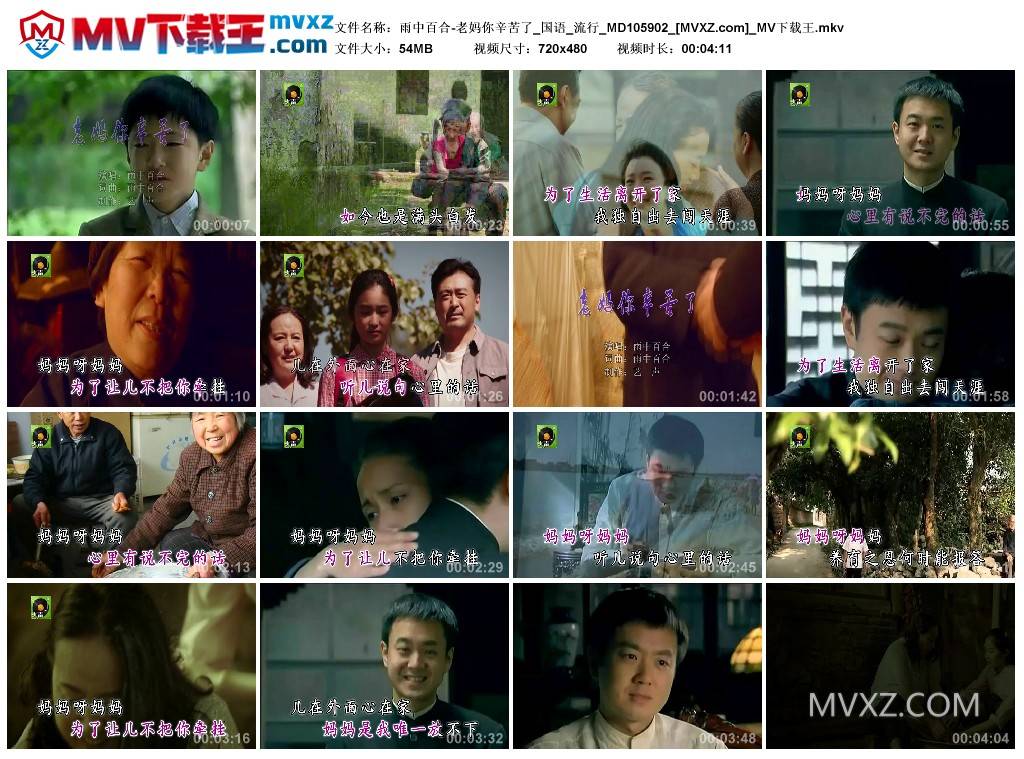 雨中百合-老妈你辛苦了_国语_流行_MD105902